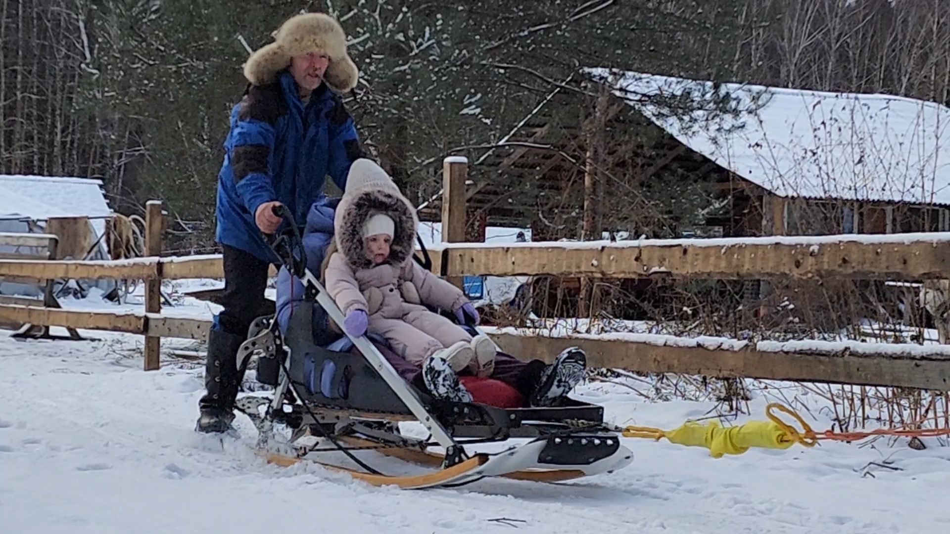 Раменское, Туризм, хаски парк раменское, Куда поехать с детьми, Катание на хаски,