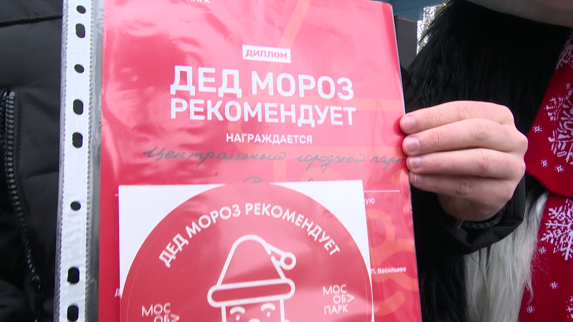 Реутов, вертикалки, Дед Мороз рекомендует, знак качества, парковые территории, место отдыха,