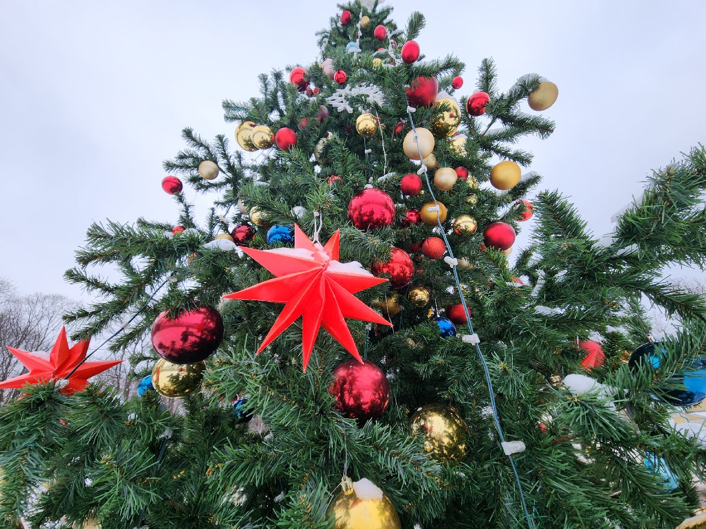 красногорск, новый год, рождество, архангельское,