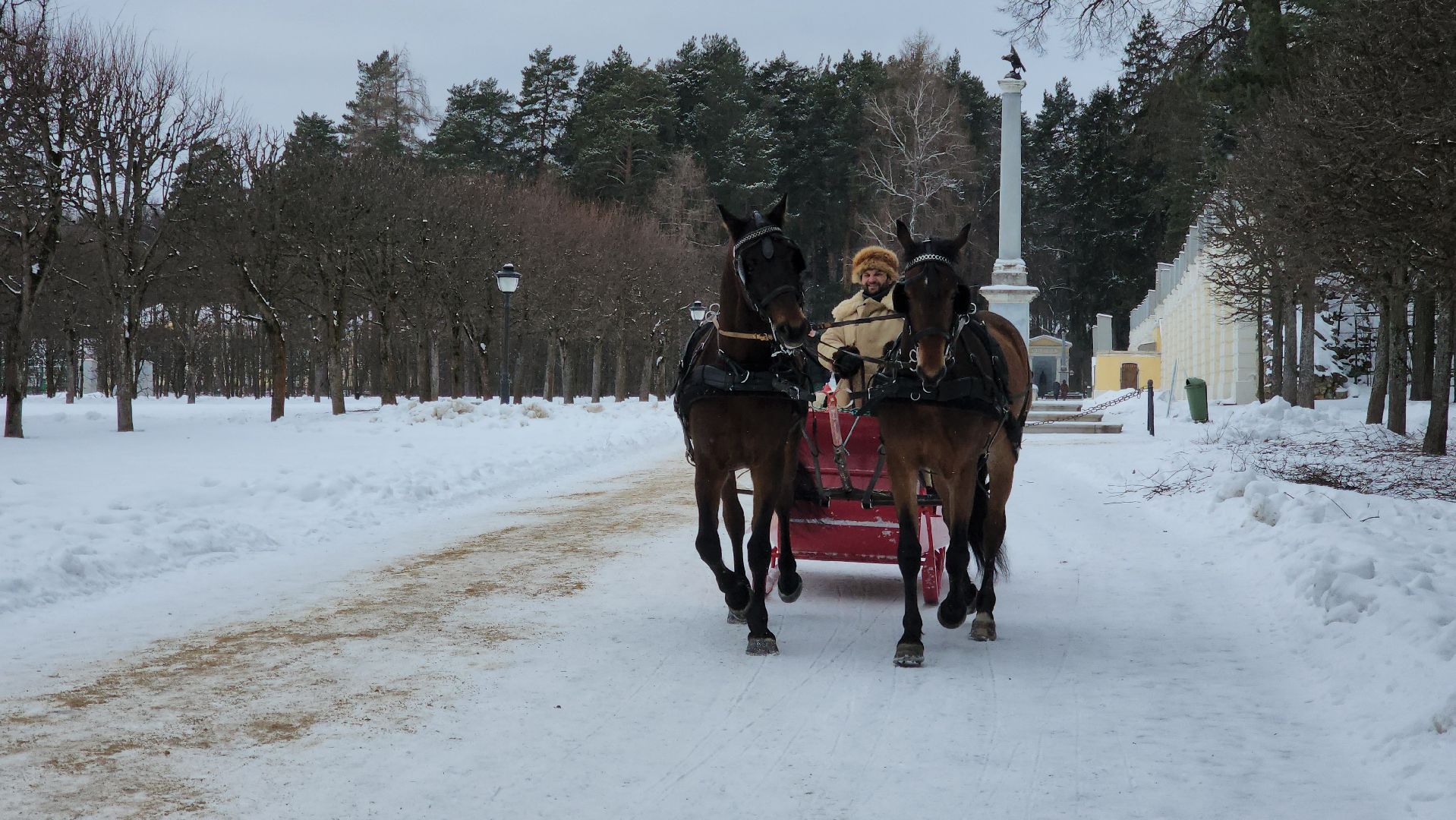 красногорск, новый год, рождество, архангельское,