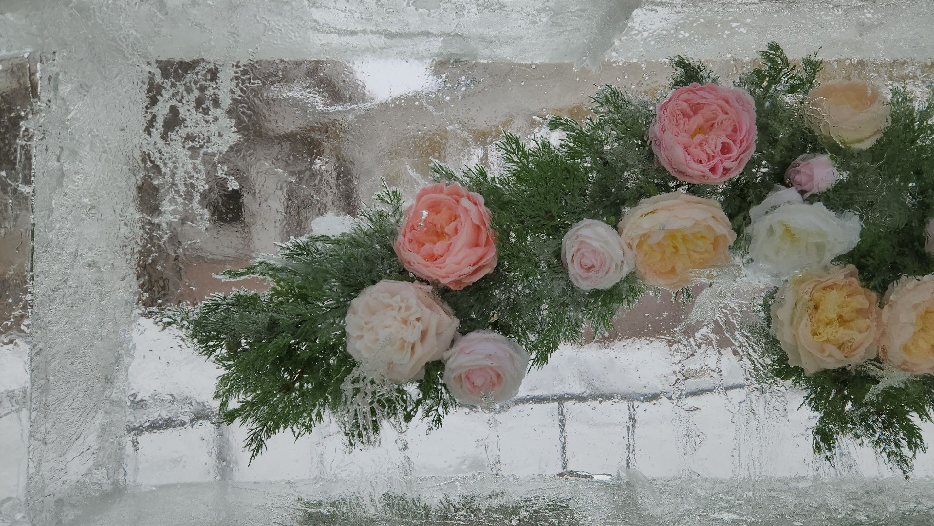 красногорск, новый год, рождество, архангельское,