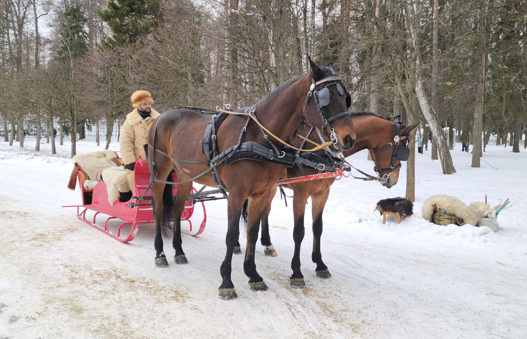 красногорск, новый год, рождество, архангельское,