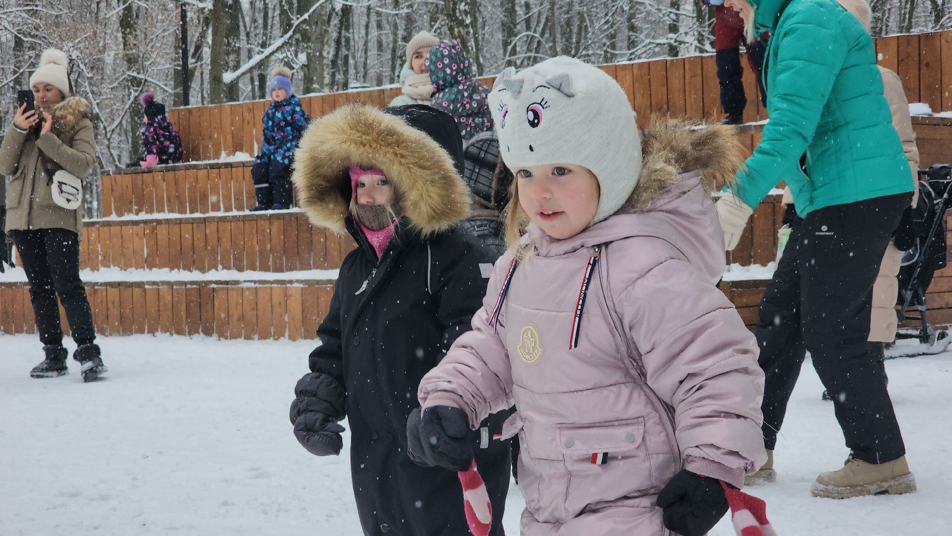парки Подмосковья, Лосино-Петровский, мастер-класс, зима в подмосковье,