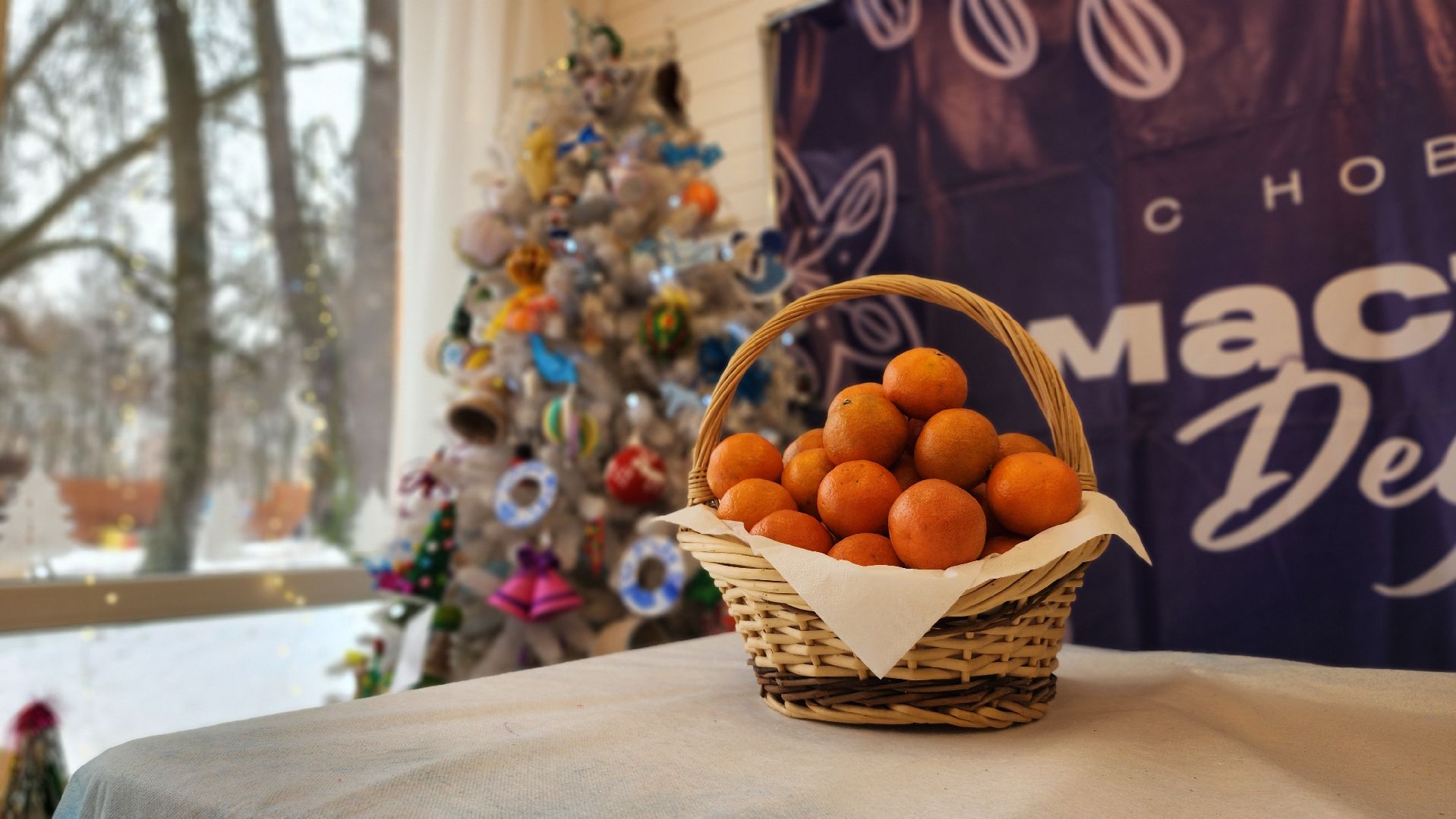 парки Подмосковья, Лосино-Петровский, мастер-класс, зима в подмосковье,