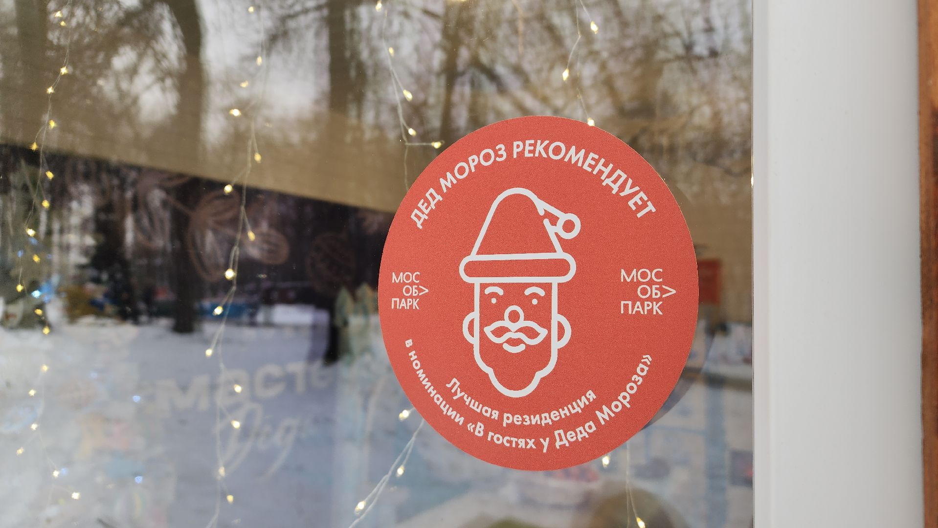 парки Подмосковья, Лосино-Петровский, мастер-класс, зима в подмосковье,