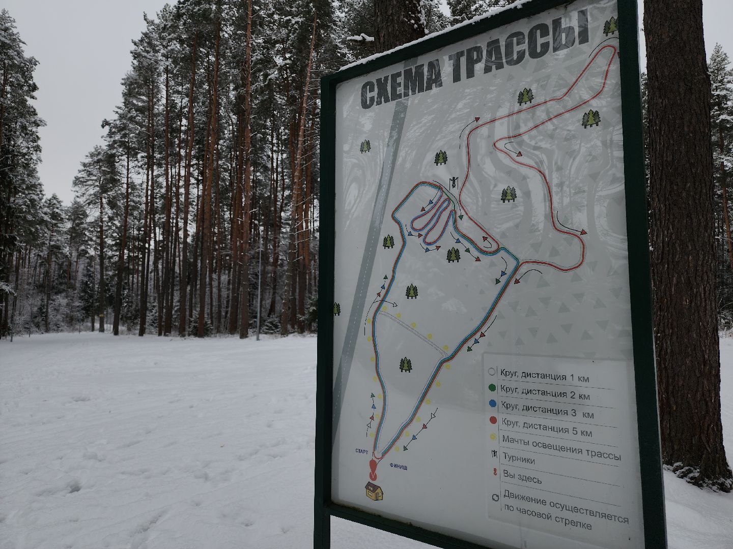 Егорьевск, Подмосковье, Московская область, лыжи, зима в подмосковье,ВЕРТИКАЛКи,