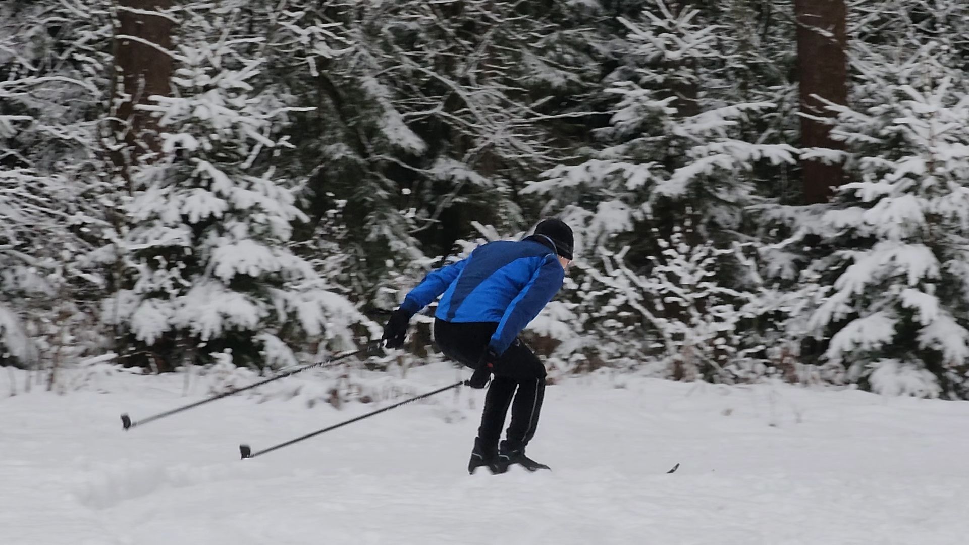 Егорьевск, Подмосковье, Московская область, лыжи, зима в подмосковье,ВЕРТИКАЛКи,