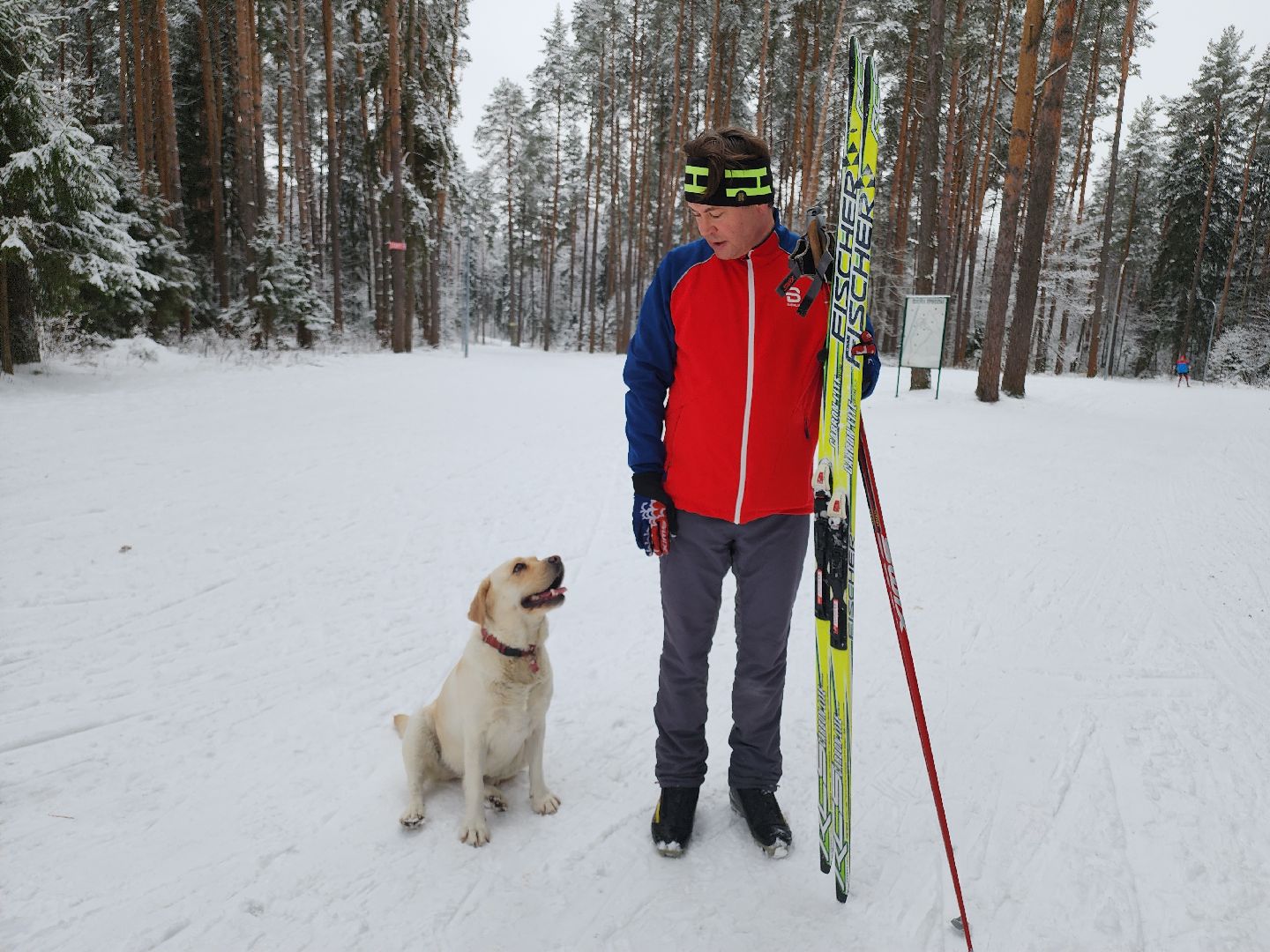 Егорьевск, Подмосковье, Московская область, лыжи, зима в подмосковье,ВЕРТИКАЛКи,