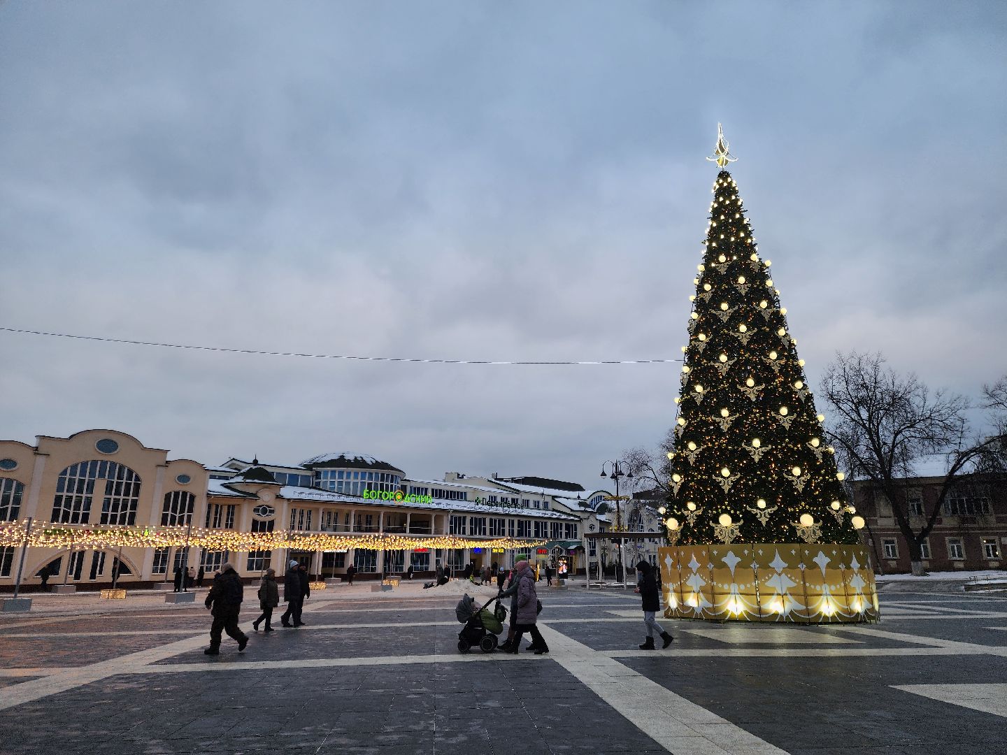 ногинск, жители, общество, новогодняя елка, голосование, елки России, новый год, фонтанная площадь,