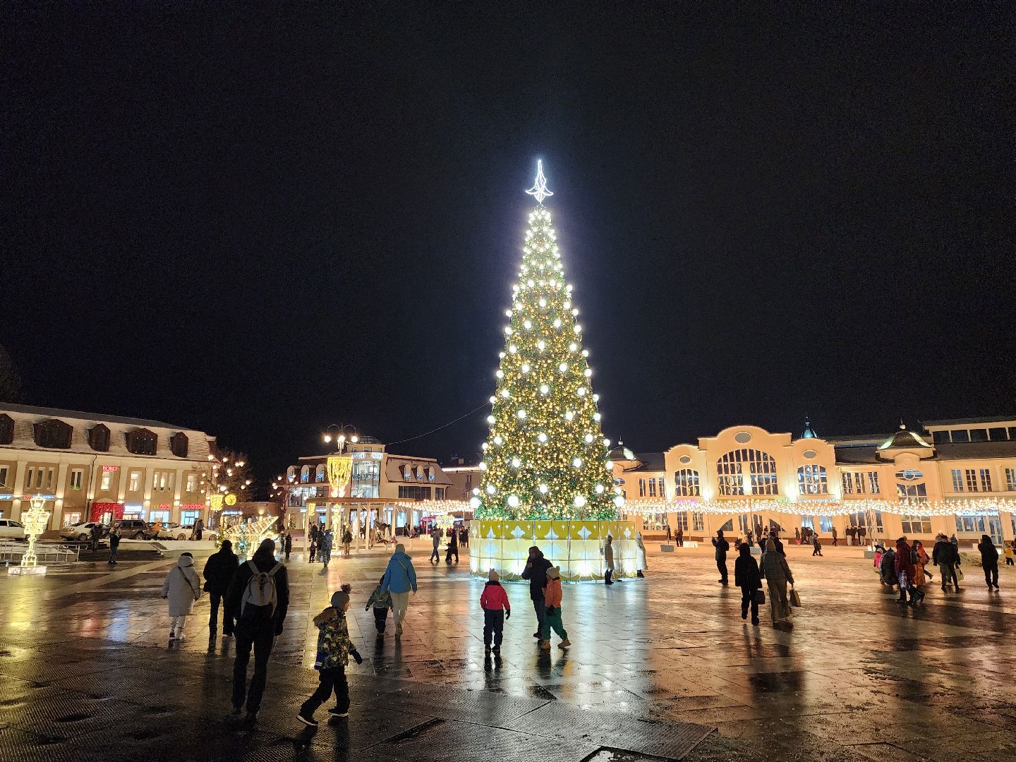 ногинск, жители, общество, новогодняя елка, голосование, елки России, новый год, фонтанная площадь,