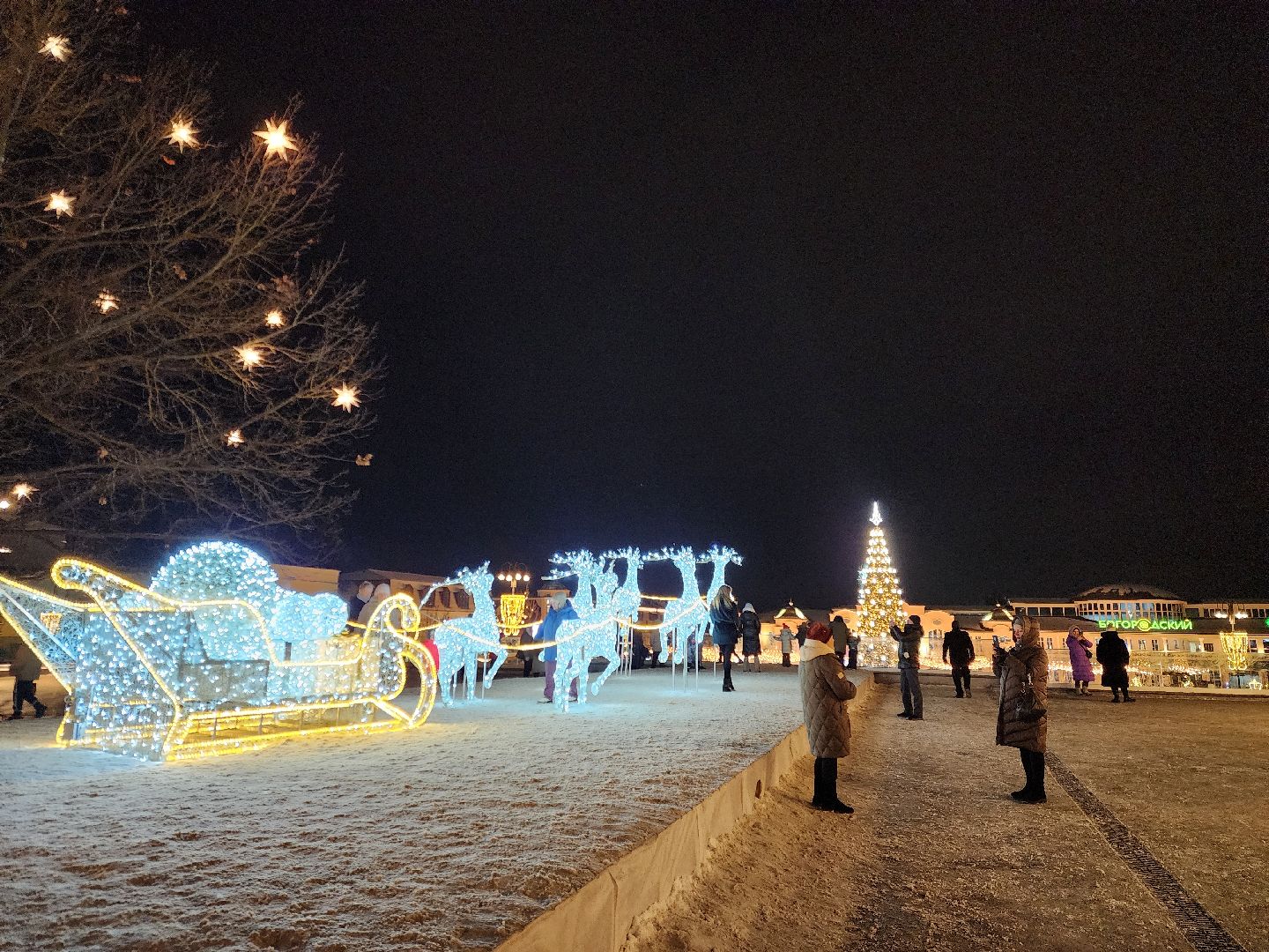 ногинск, жители, общество, новогодняя елка, голосование, елки России, новый год, фонтанная площадь,