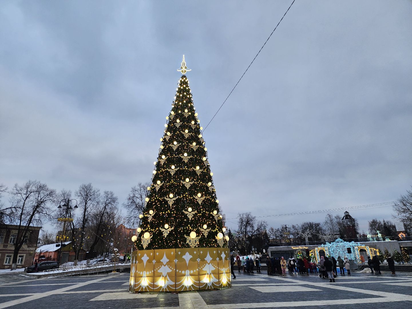 ногинск, жители, общество, новогодняя елка, голосование, елки России, новый год, фонтанная площадь,