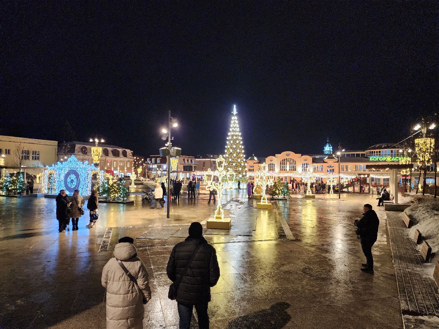 ногинск, жители, общество, новогодняя елка, голосование, елки России, новый год, фонтанная площадь,