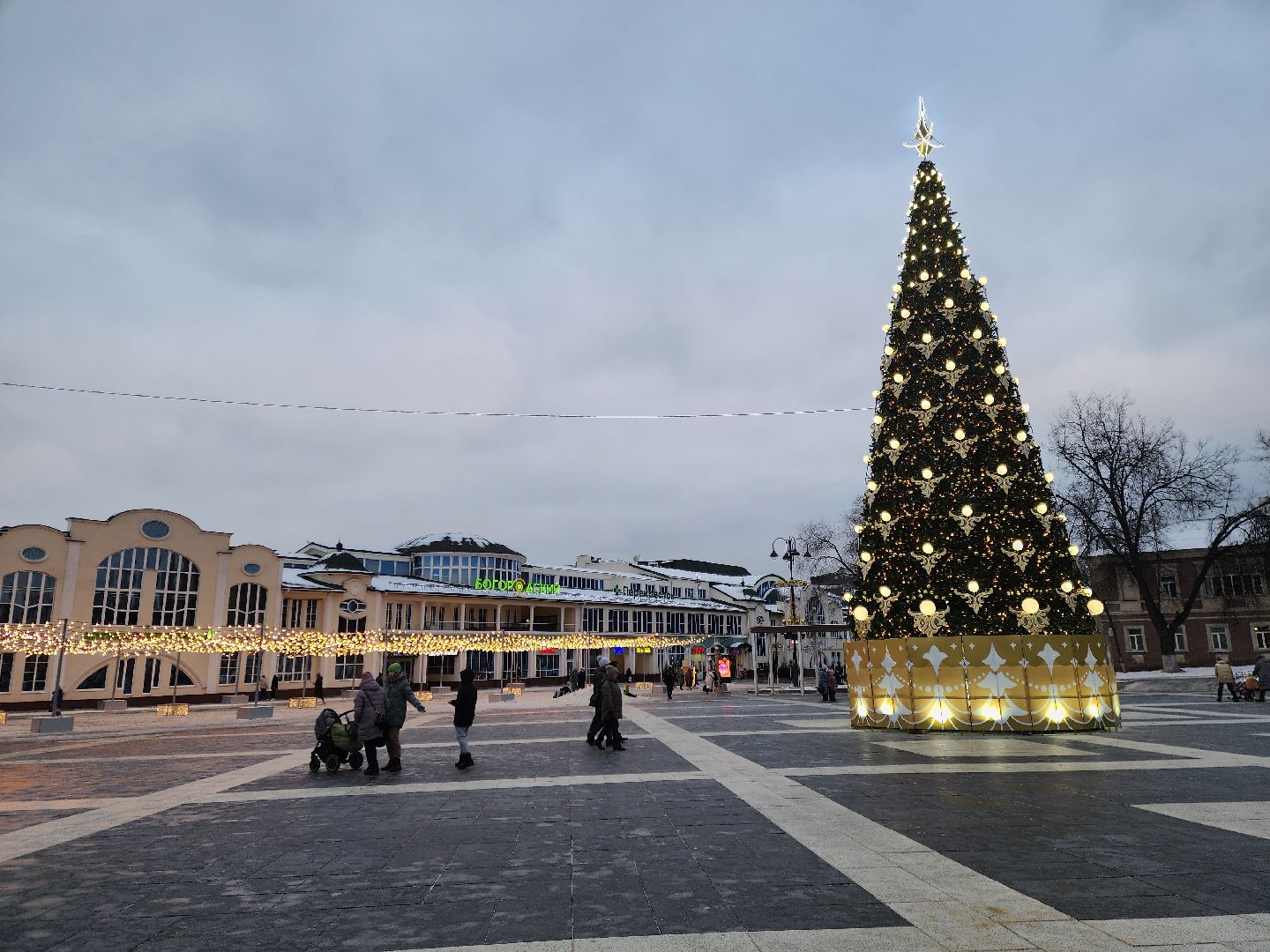 ногинск, жители, общество, новогодняя елка, голосование, елки России, новый год, фонтанная площадь,