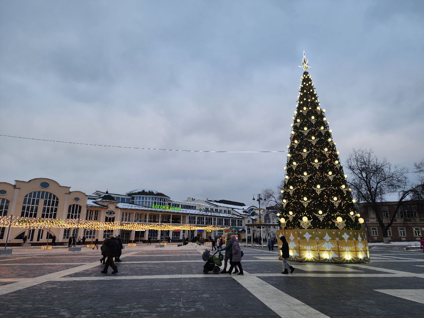 ногинск, жители, общество, новогодняя елка, голосование, елки России, новый год, фонтанная площадь,