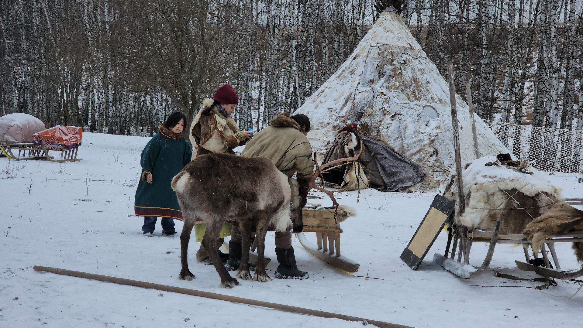 кашира, фестиваль севера, олени, кочевники, фольклор,