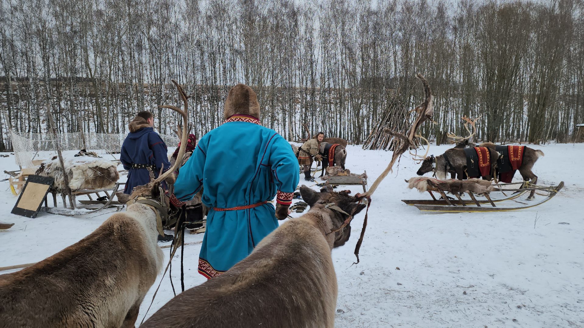 кашира, фестиваль севера, олени, кочевники, фольклор,