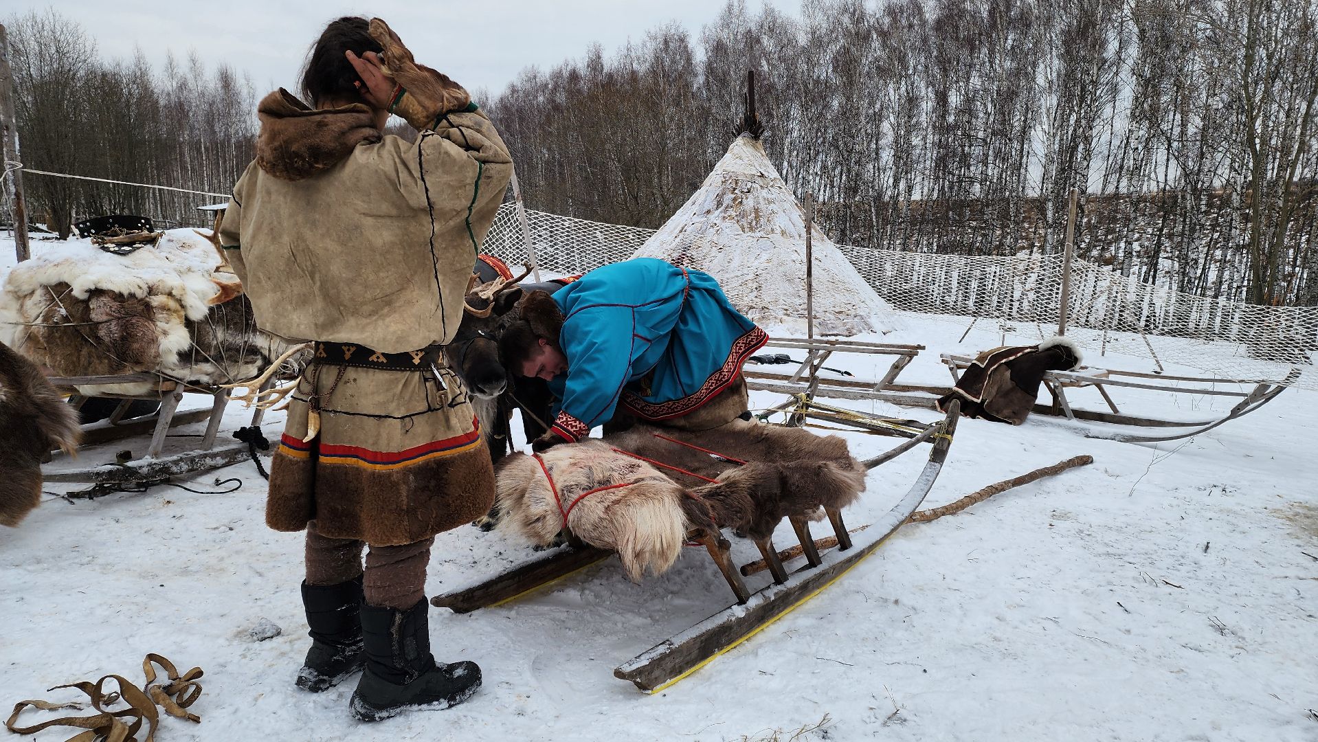 кашира, фестиваль севера, олени, кочевники, фольклор,
