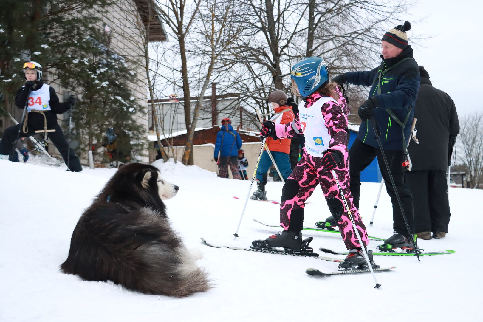 зима в подмосковье, горные лыжи, соревнования, истра,