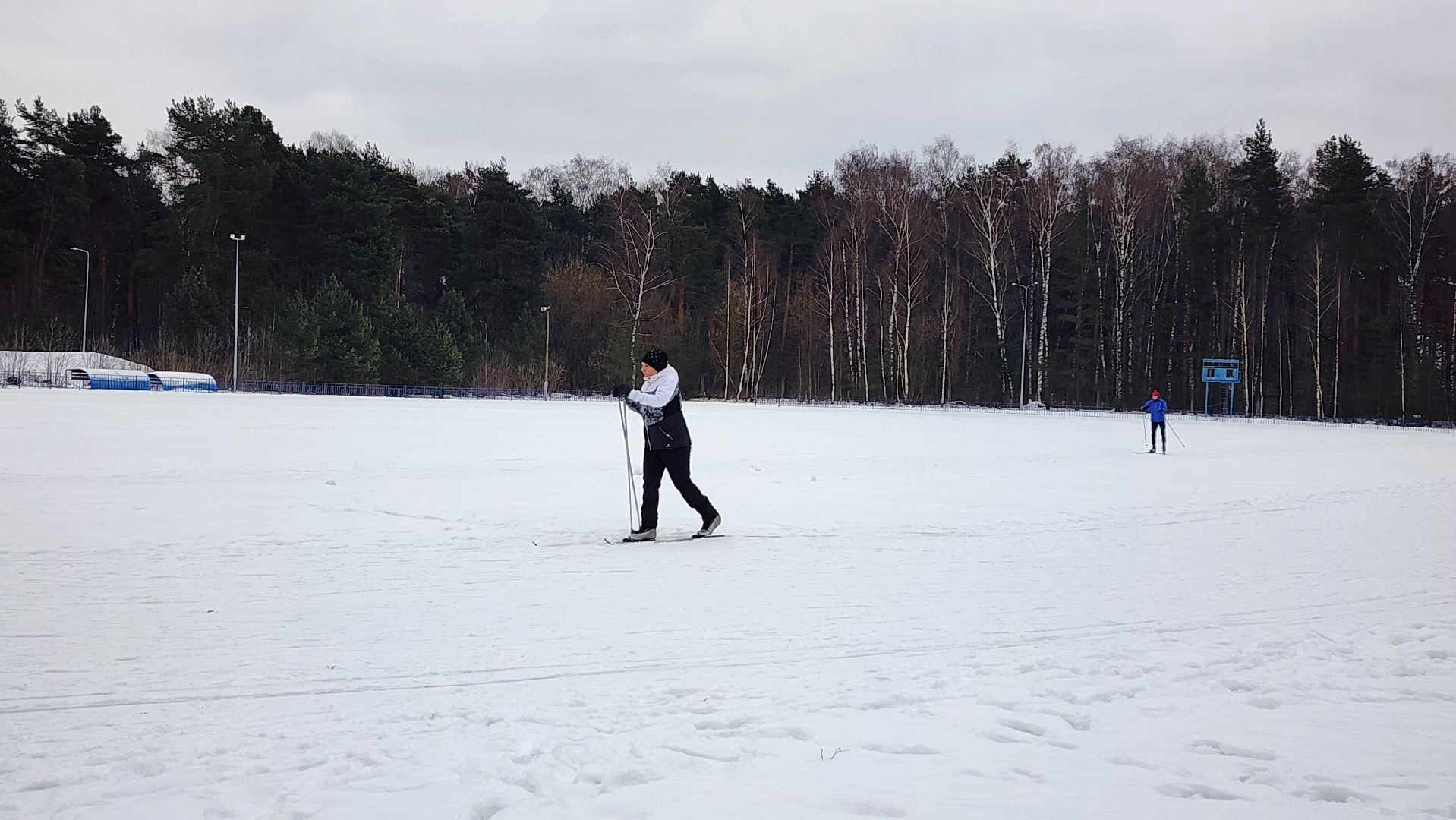 лыжная трасса, зимние виды спорта, стадион Труд, Старая Купавна, Богородский городской округ,