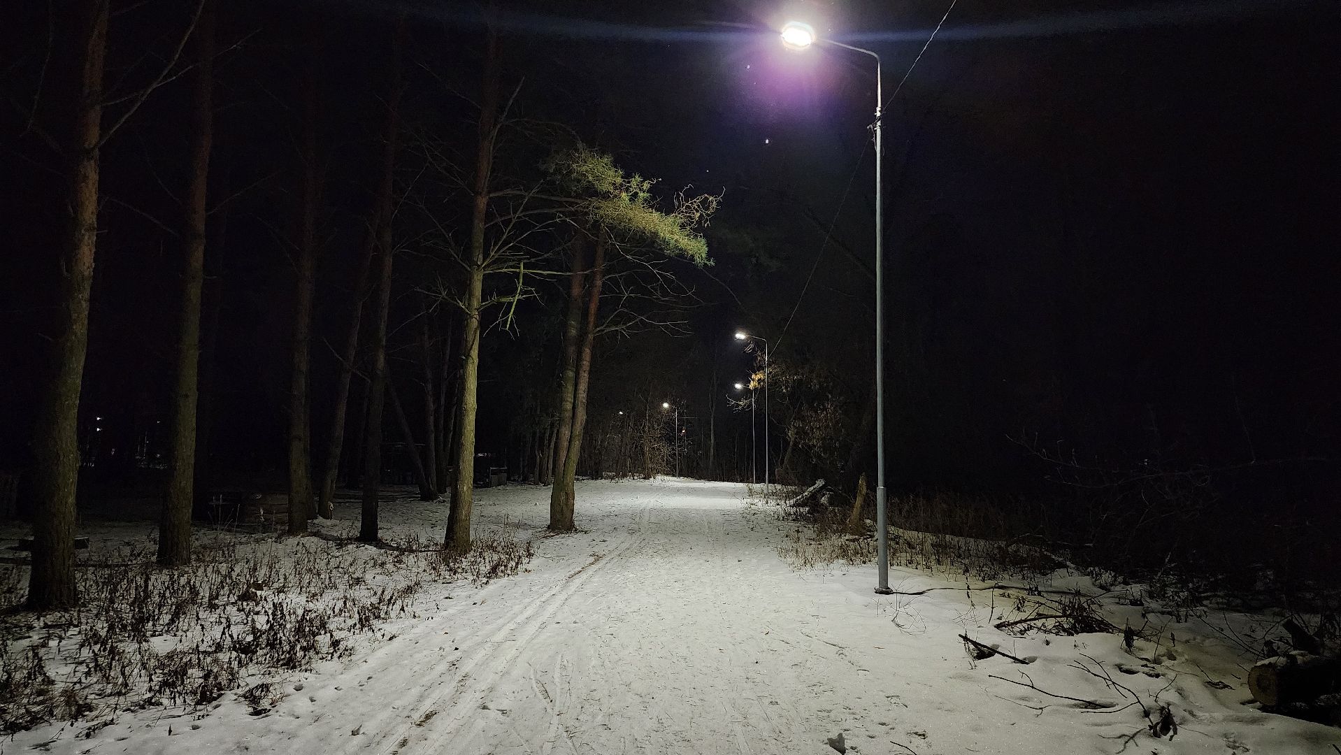 лыжная трасса, зимние виды спорта, стадион Труд, Старая Купавна, Богородский городской округ,