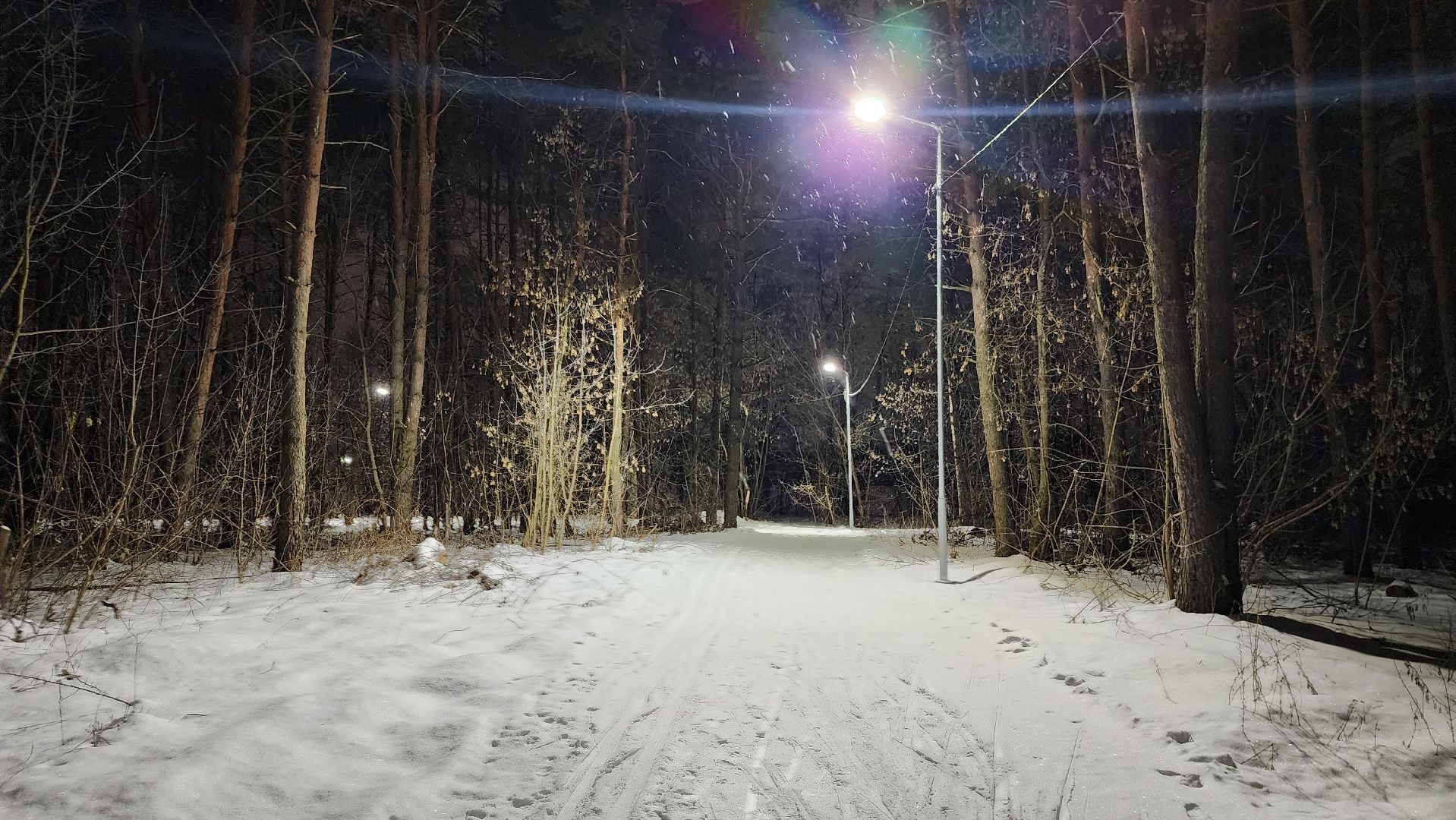 лыжная трасса, зимние виды спорта, стадион Труд, Старая Купавна, Богородский городской округ,