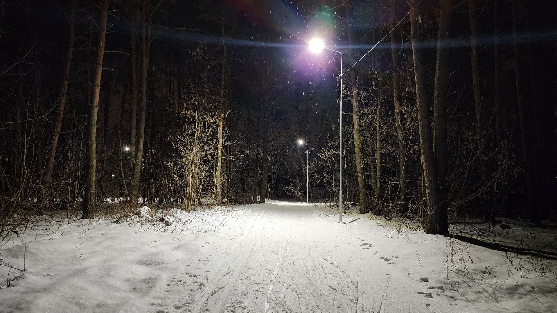 лыжная трасса, зимние виды спорта, стадион Труд, Старая Купавна, Богородский городской округ,