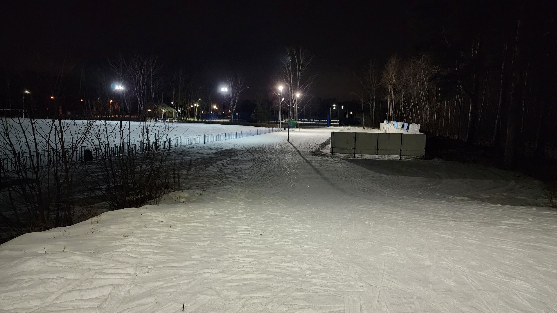 лыжная трасса, зимние виды спорта, стадион Труд, Старая Купавна, Богородский городской округ,