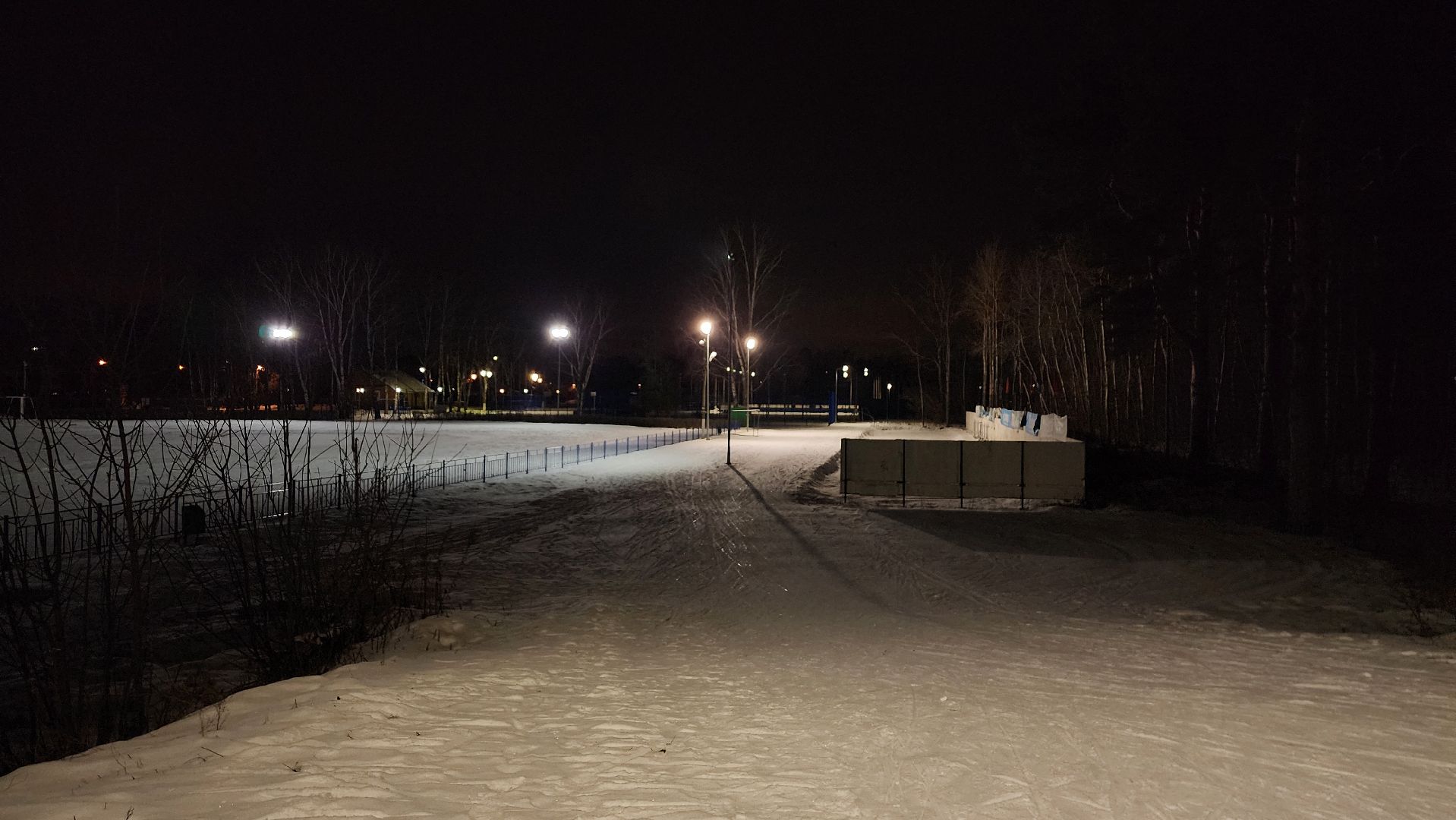 лыжная трасса, зимние виды спорта, стадион Труд, Старая Купавна, Богородский городской округ,