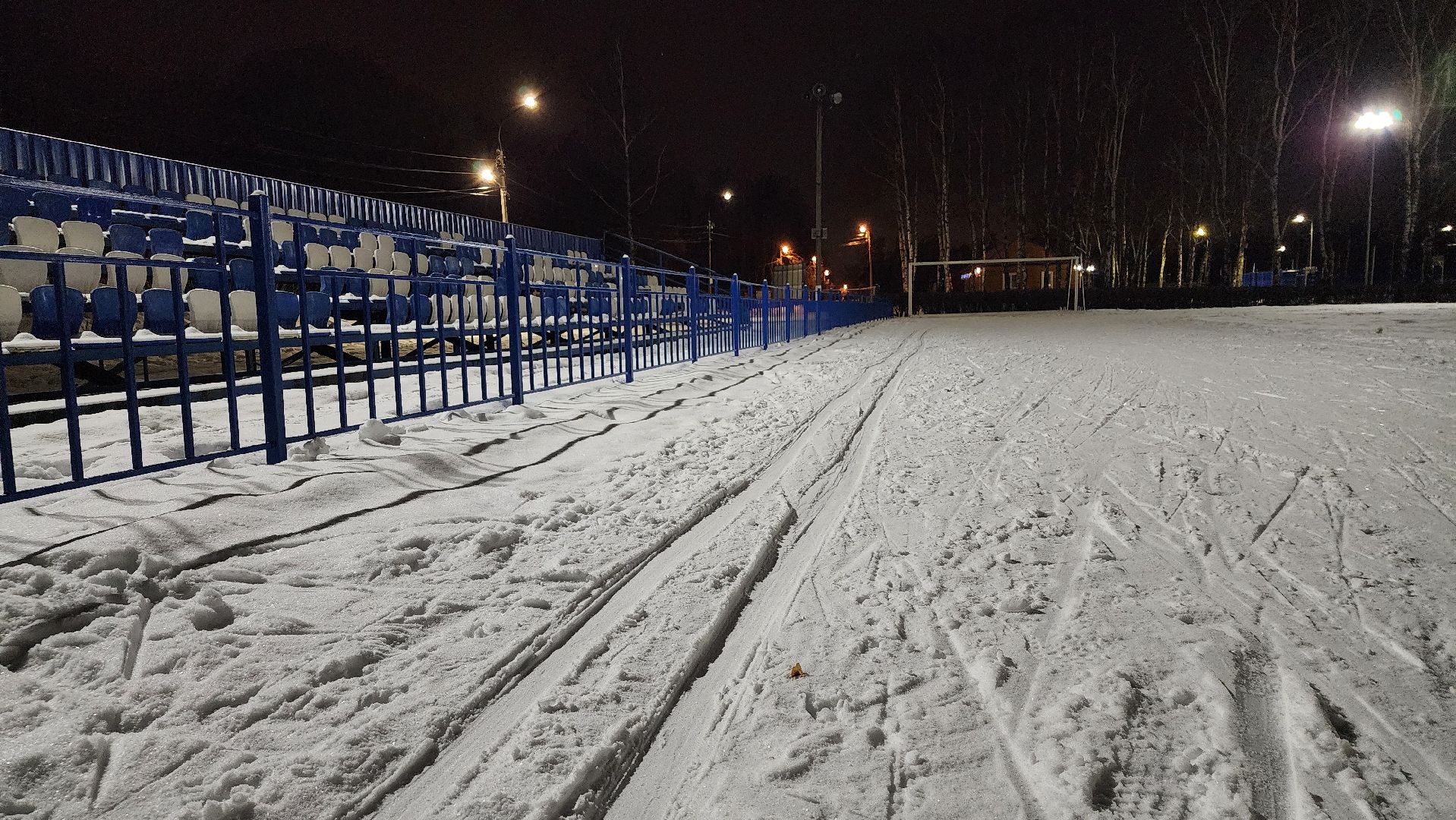 лыжная трасса, зимние виды спорта, стадион Труд, Старая Купавна, Богородский городской округ,