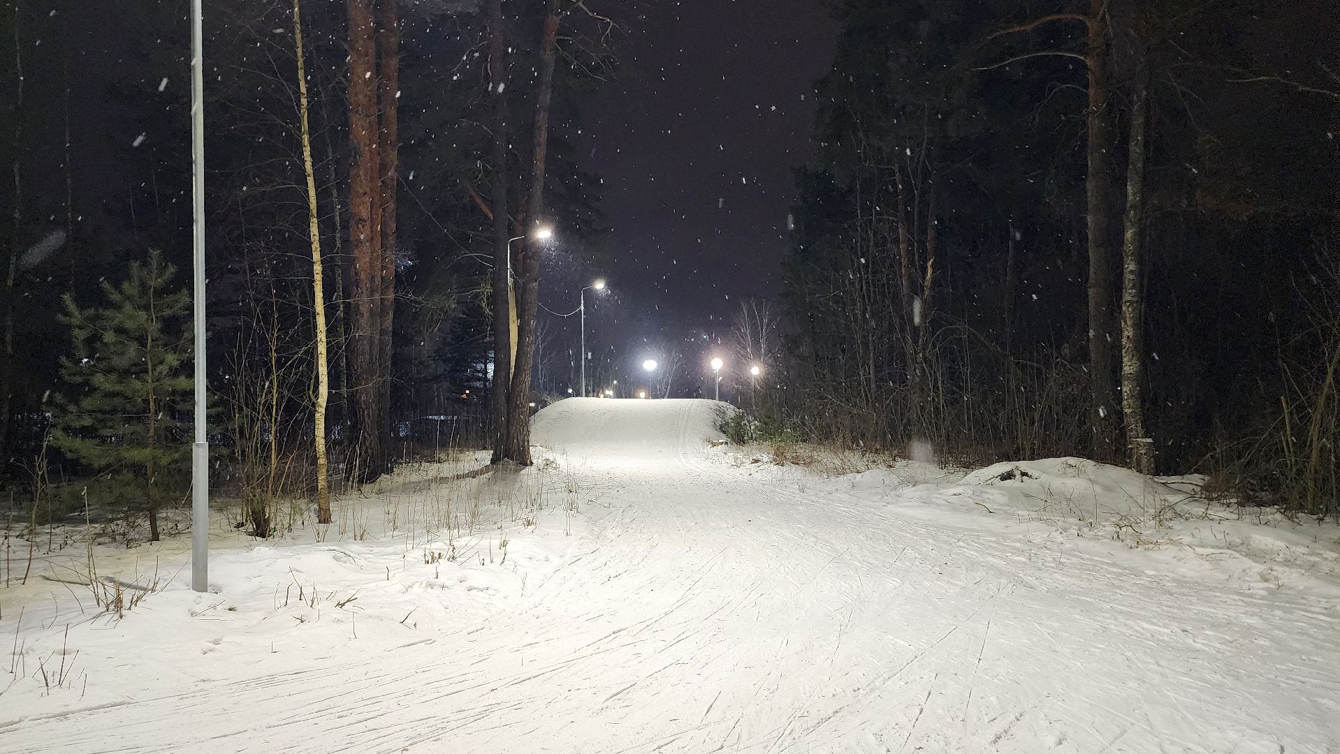 лыжная трасса, зимние виды спорта, стадион Труд, Старая Купавна, Богородский городской округ,