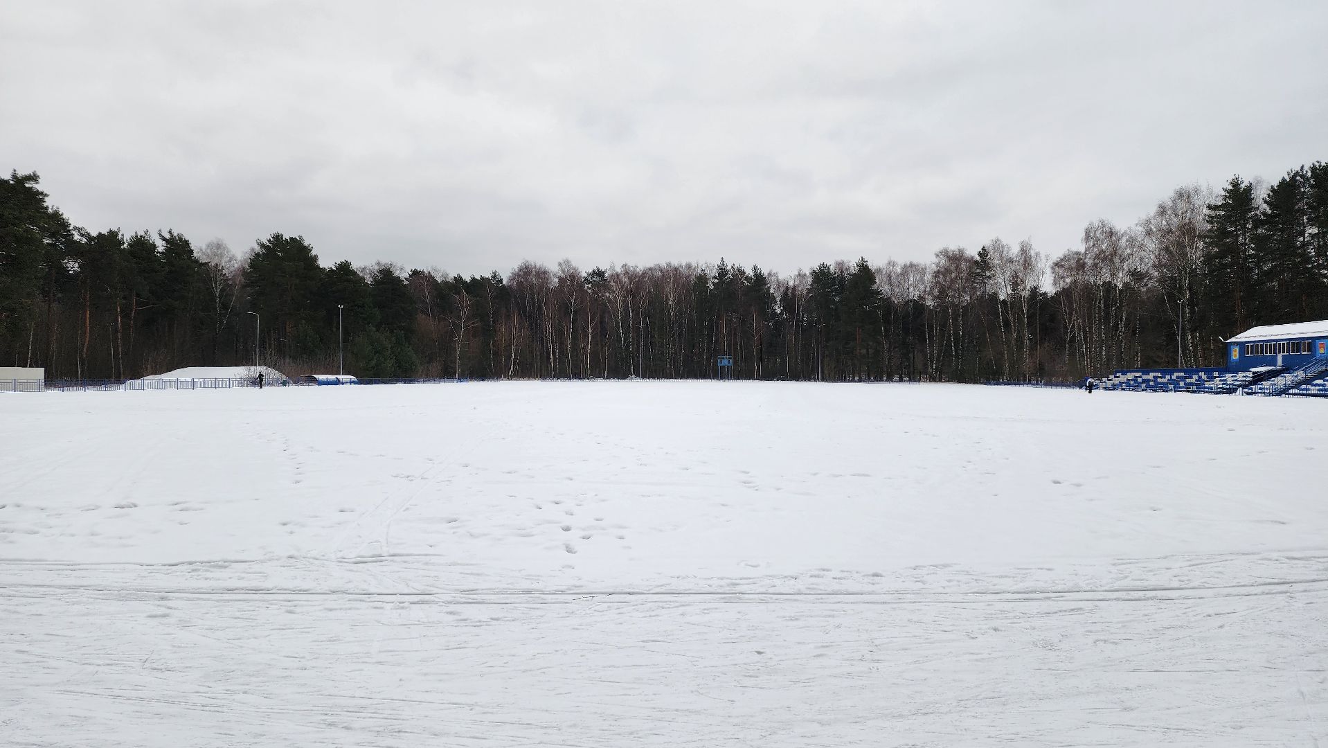 лыжная трасса, зимние виды спорта, стадион Труд, Старая Купавна, Богородский городской округ,