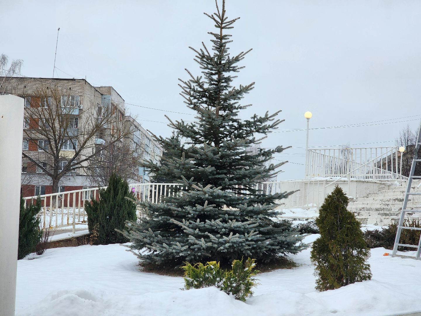 Луховицы, Рождество,