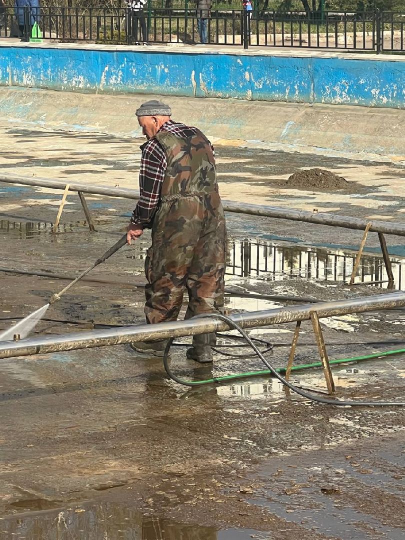 Солнечногорск, благоустройство, фонтан, жители, аллея