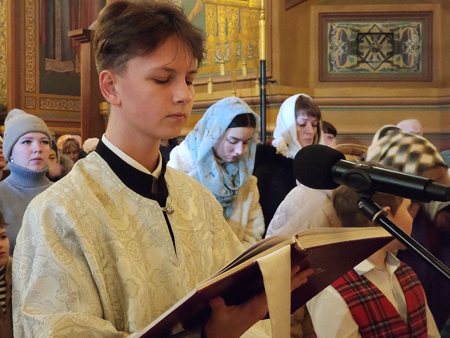 вертикалки, Егорьевск, Подмосковье, Московская область, Рождество,