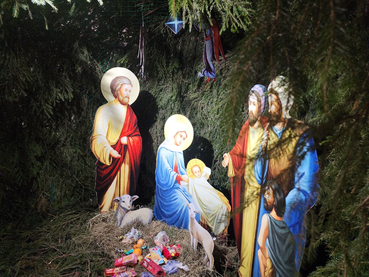 вертикалки, Егорьевск, Подмосковье, Московская область, Рождество,