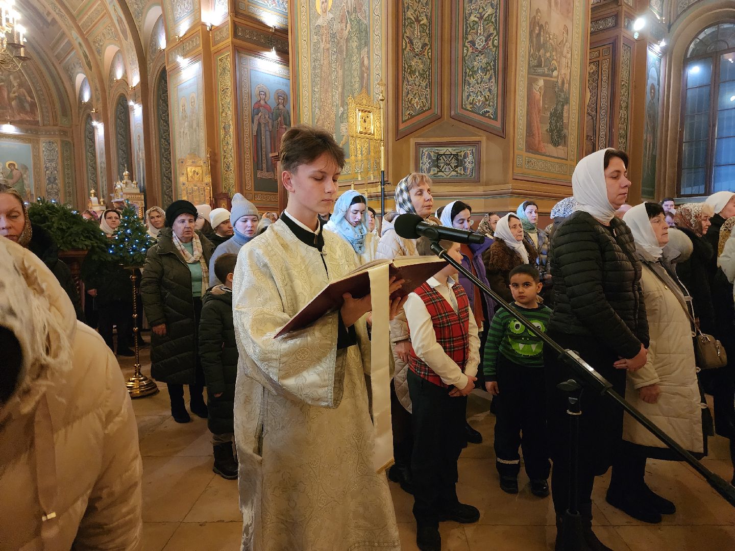 вертикалки, Егорьевск, Подмосковье, Московская область, Рождество,