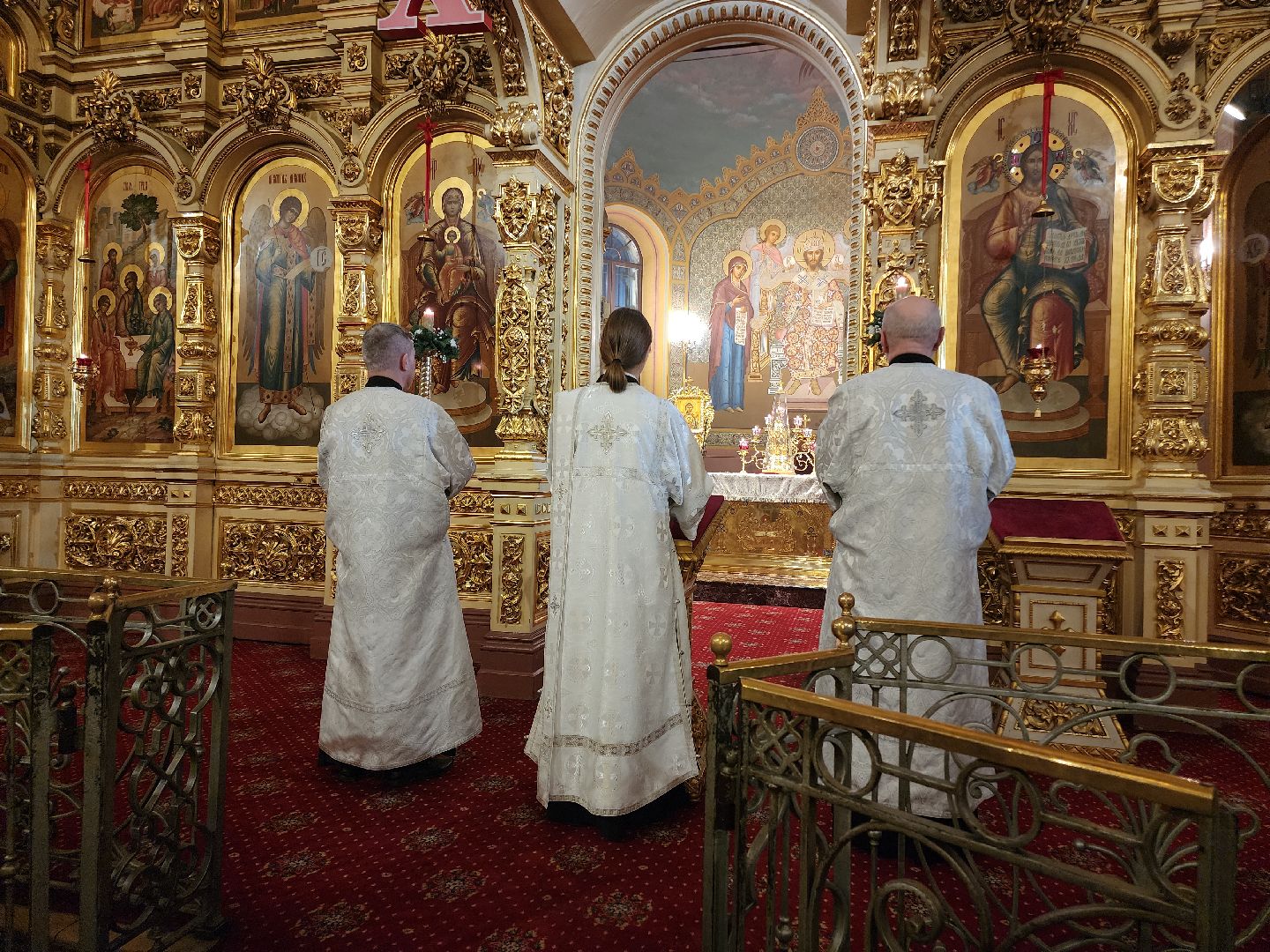 вертикалки, Егорьевск, Подмосковье, Московская область, Рождество,