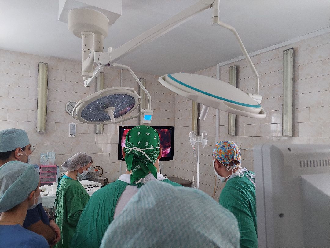 Воскресенск, общество