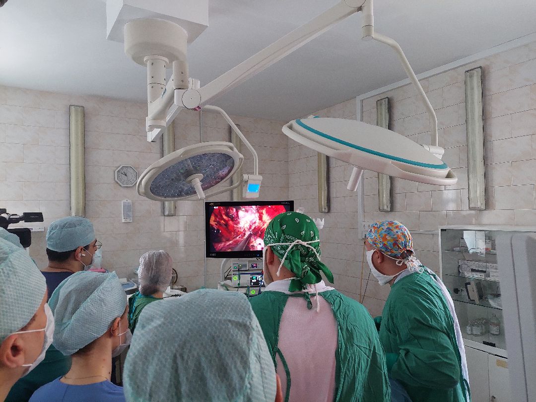 Воскресенск, общество