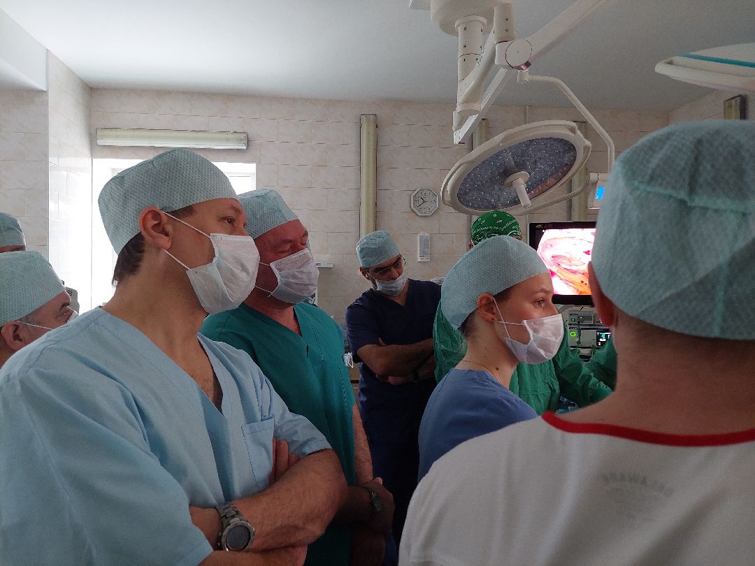 Воскресенск, общество