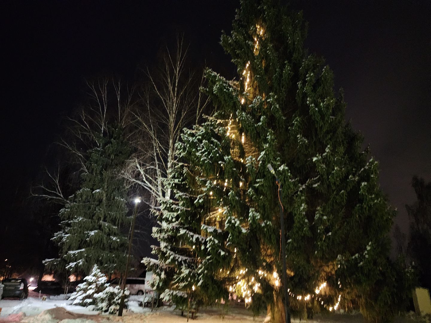 Черноголовка, Рождество, рождественская служба,
