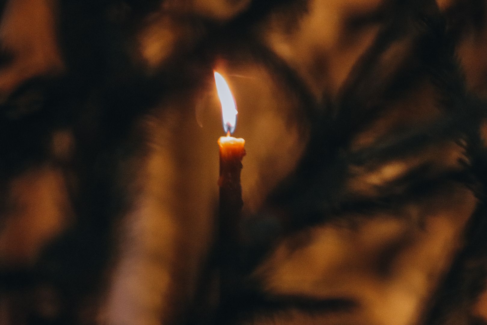 Клин, общество, рождество христово, рождественская литургия, вера, вертикалки,