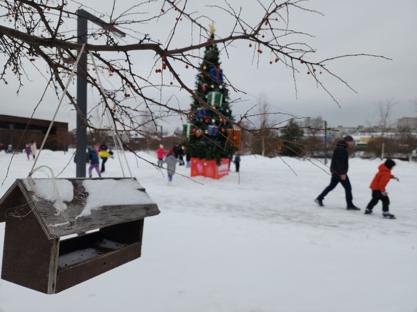 вертикалки, рождество, парки подмосковья, орехово-зуево,