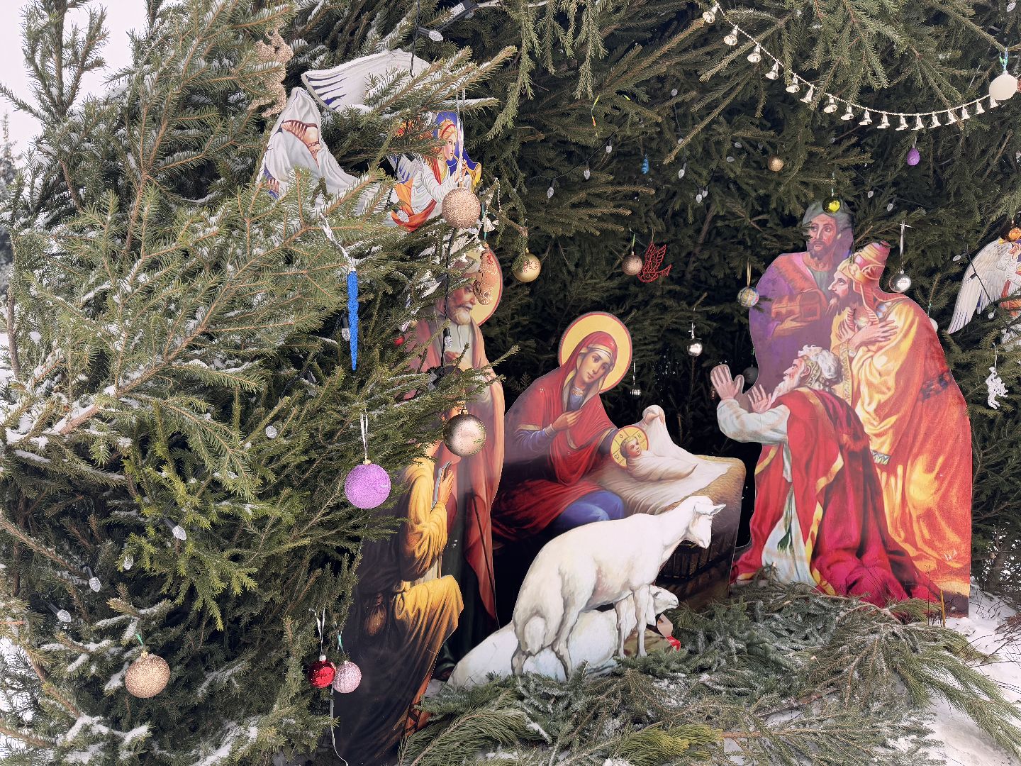 Одинцово, Рождество в Георгиевском соборе, Воскресная школа в Одинцово, Рождество Христово,вертикалки,