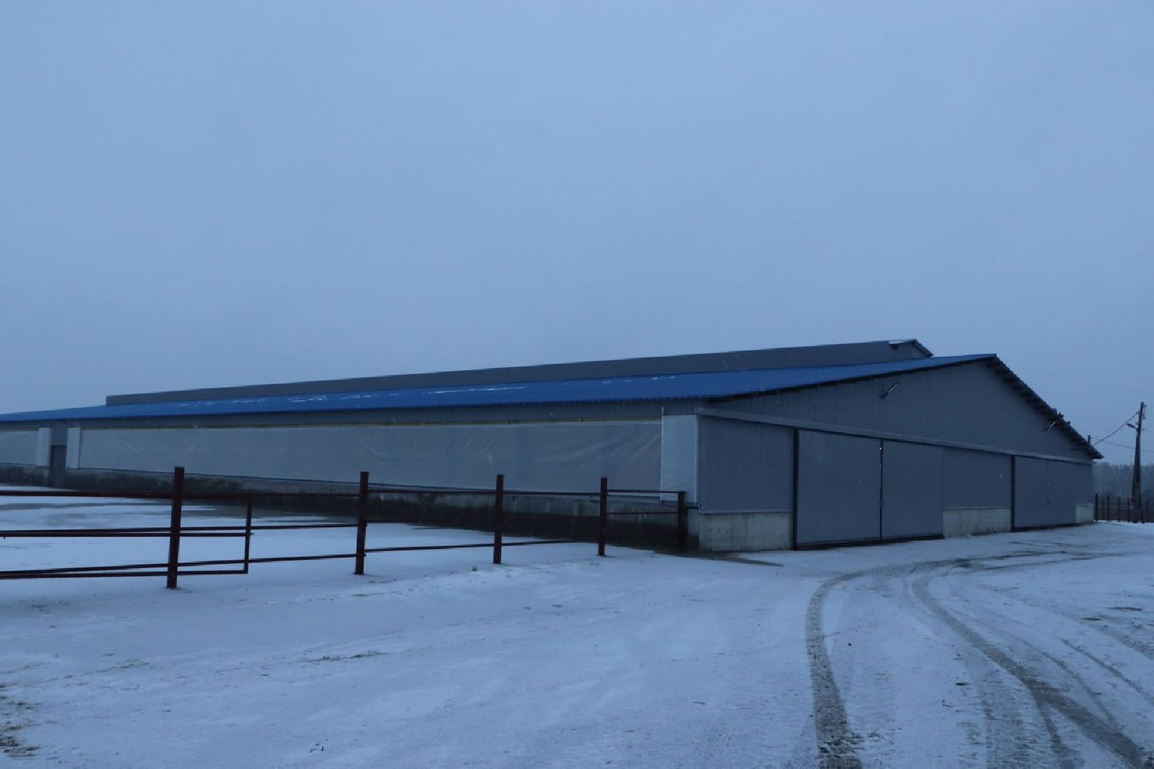 сельское хозяйство, серебряные пруды, инвестиции, новый коровник, ооо сп нива,