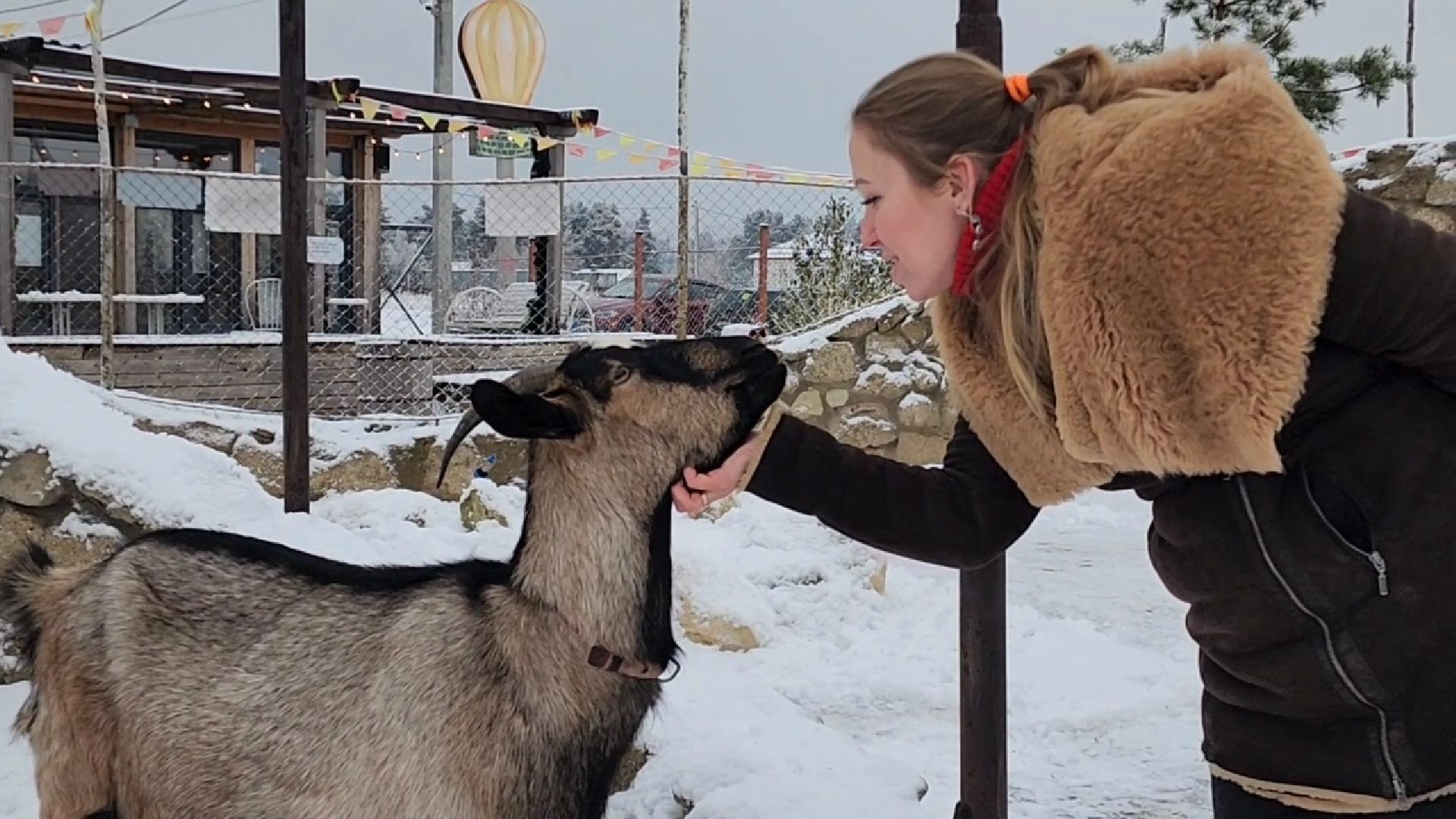 Раменское, Туризм, гастротуризм, Ферма 56, Животные на ферме,Вертикалка,