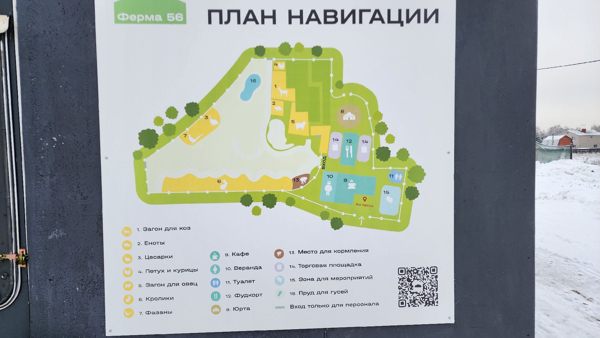 Раменское, Туризм, гастротуризм, Ферма 56, Животные на ферме,Вертикалка,