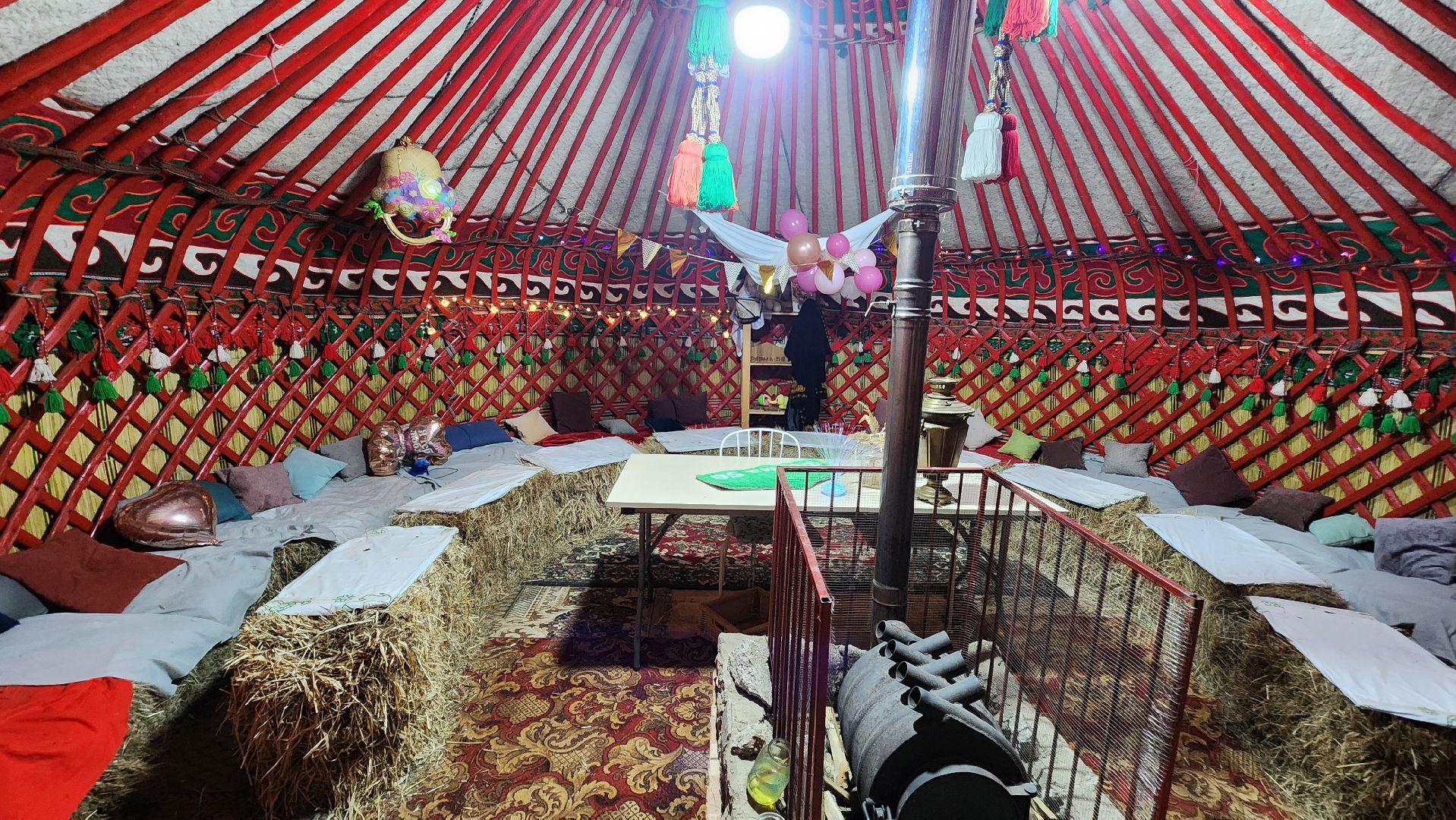 Раменское, Туризм, гастротуризм, Ферма 56, Животные на ферме,Вертикалка,