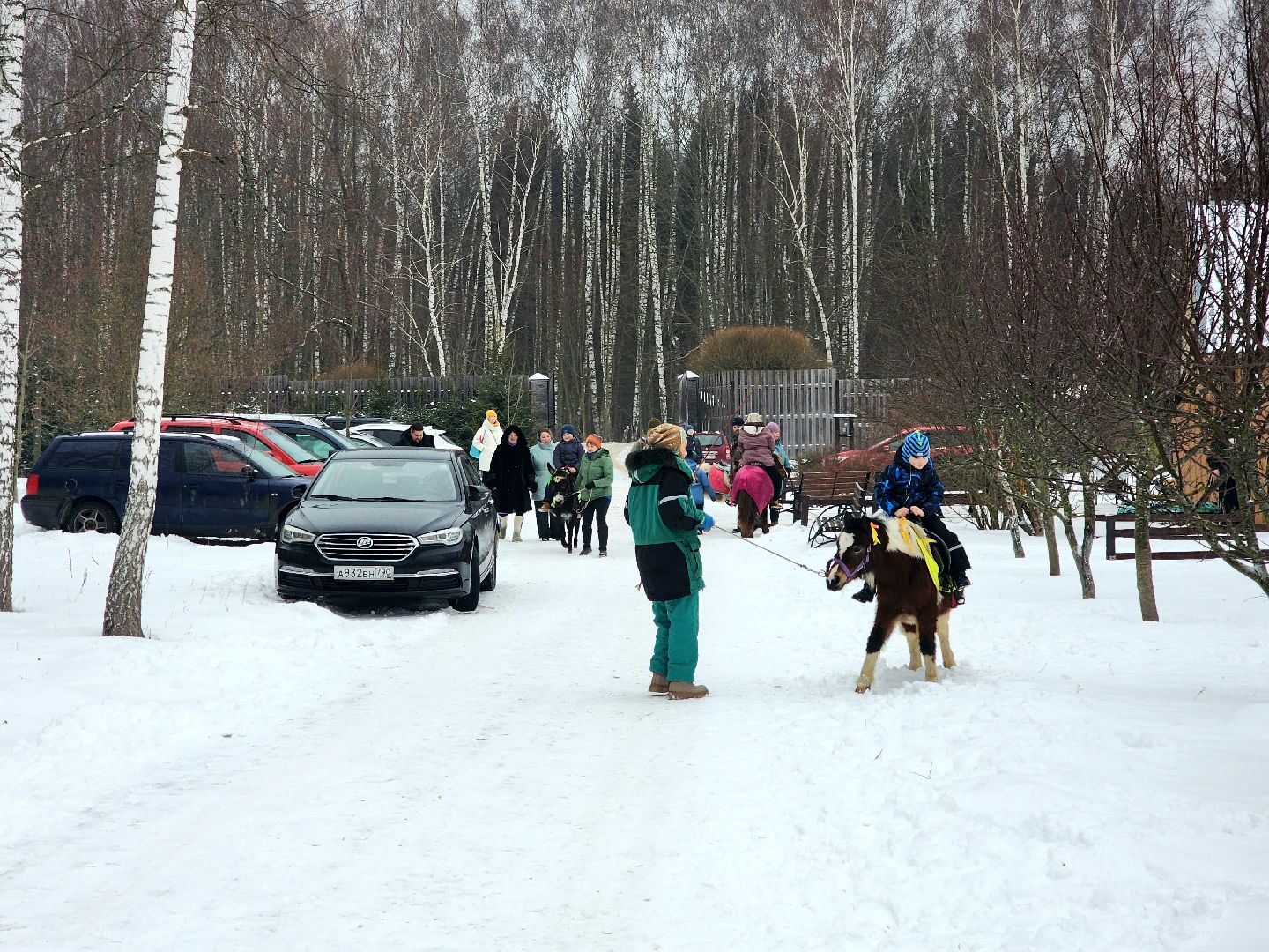 пущино, серпухов, особенные дети, лошади, терапия,